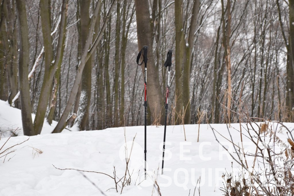 Треккинговые палки Nordway Trekking - secretsquirrel.com.ua